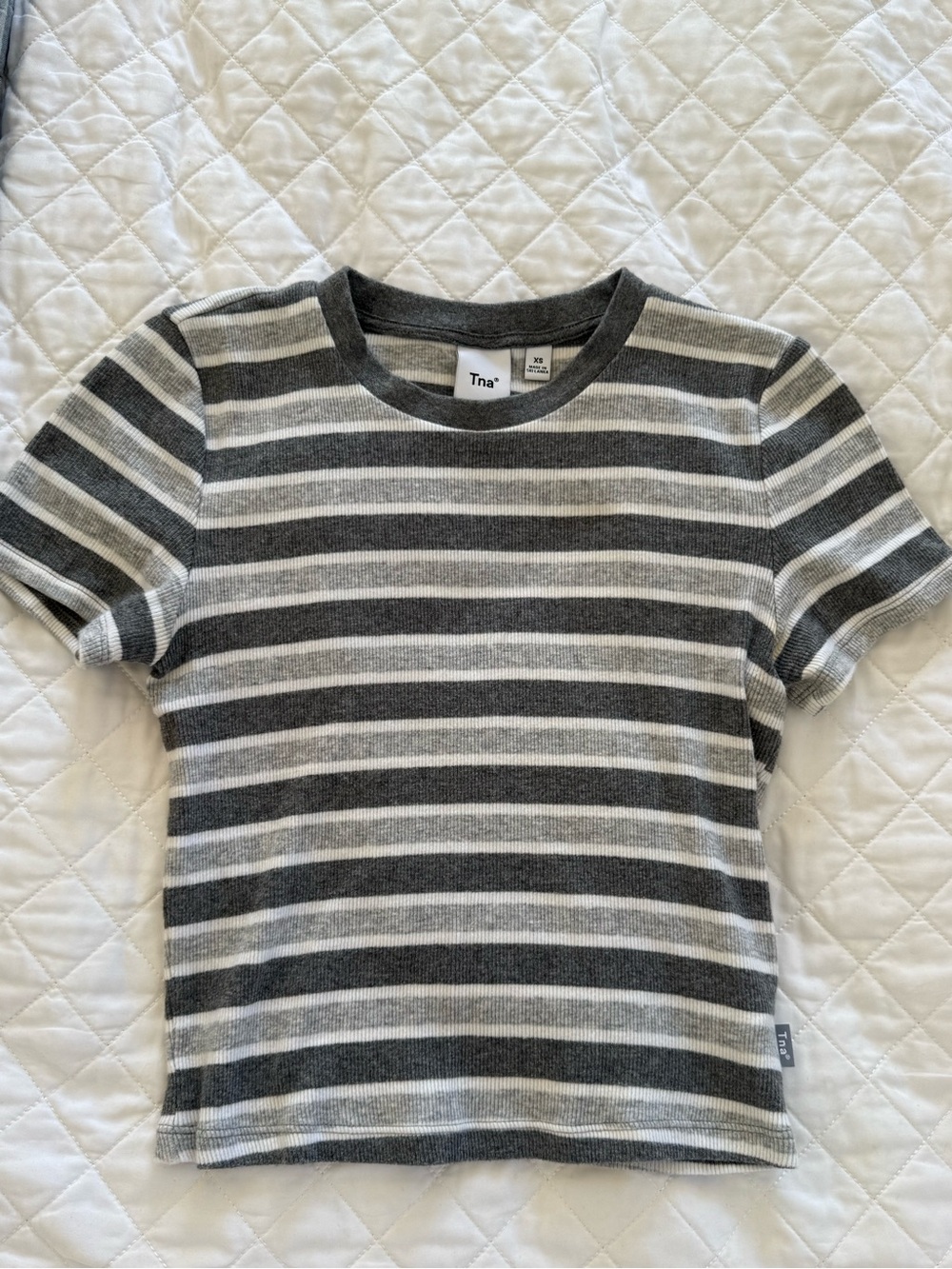 Aritzia Striped Cropped Crewneck Tee in Gray & Light Gray
